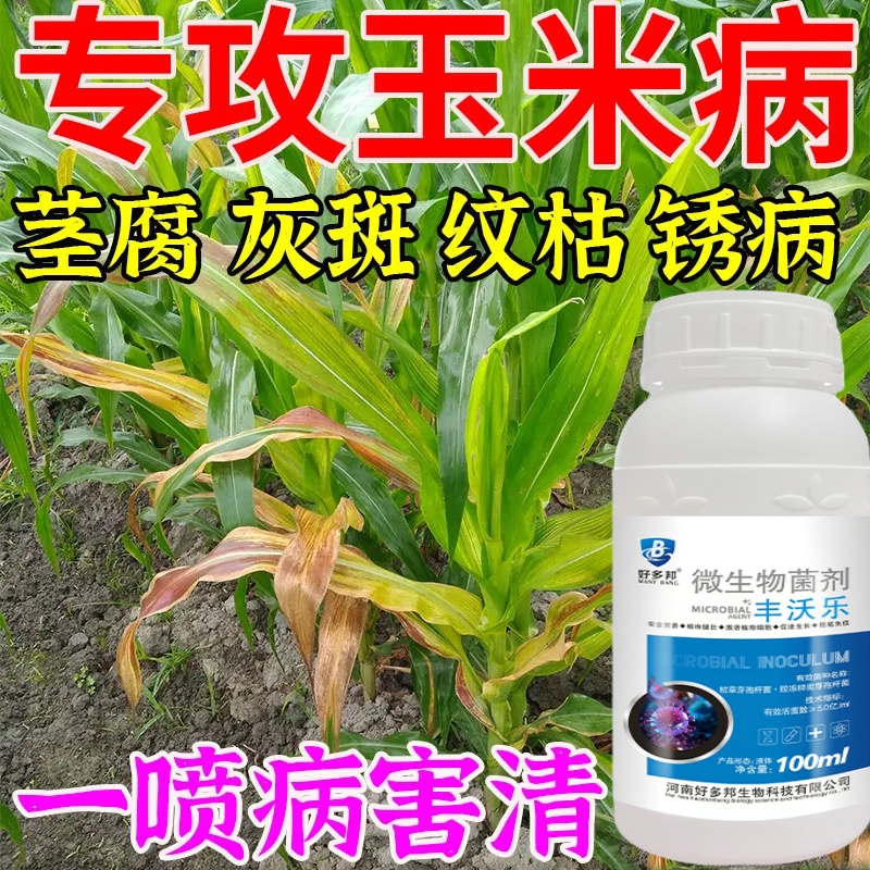 玉米卷叶病药玉米粗缩病叶子卷曲发黄叶斑病根腐专用药玉米叶面肥