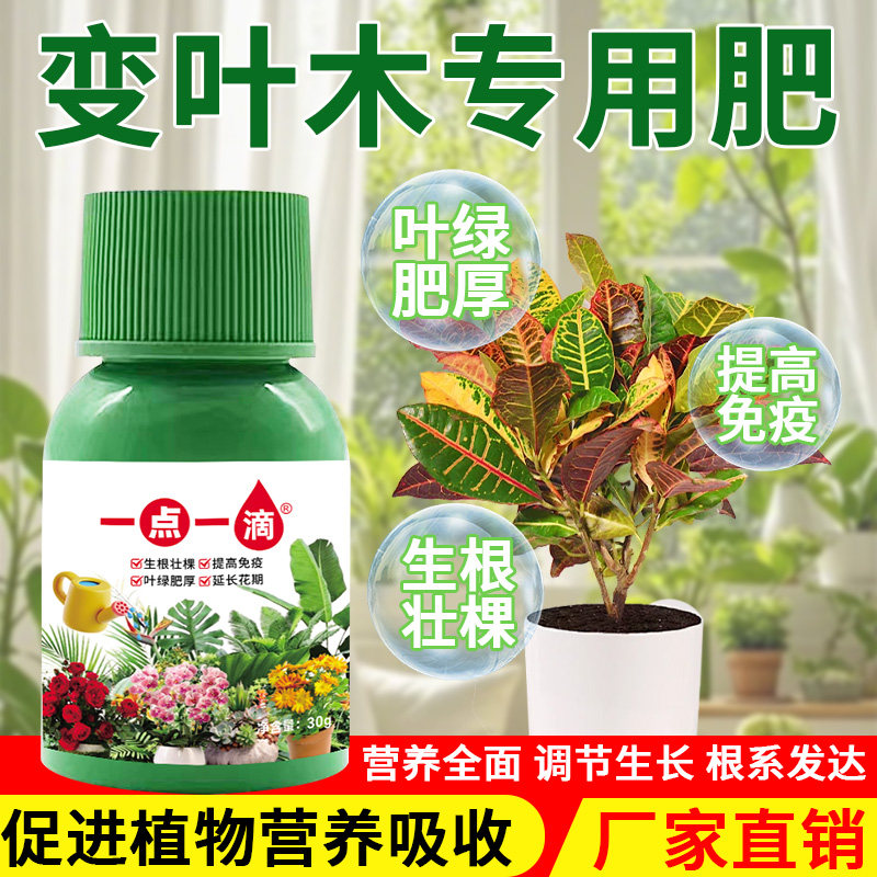 变叶木营养液植物再生剂生根壮根变色木不掉叶黄叶干尖植物专用肥