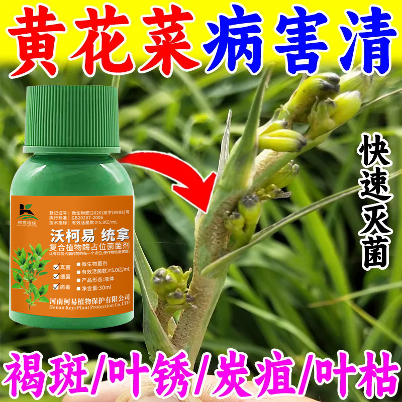 黄花菜专用药锈病药病全治炭疽病根腐病叶斑病枯萎黄叶强效杀菌剂
