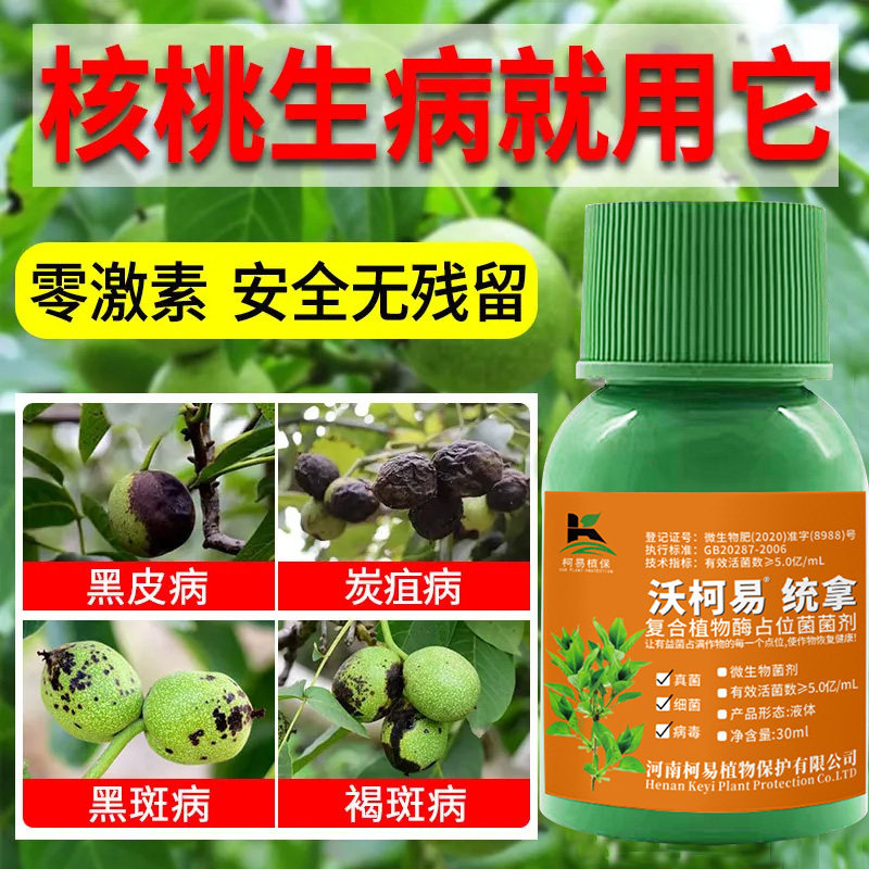 核桃树炭疽病防治杀菌剂核桃病全治黑斑病腐烂病黑腐病