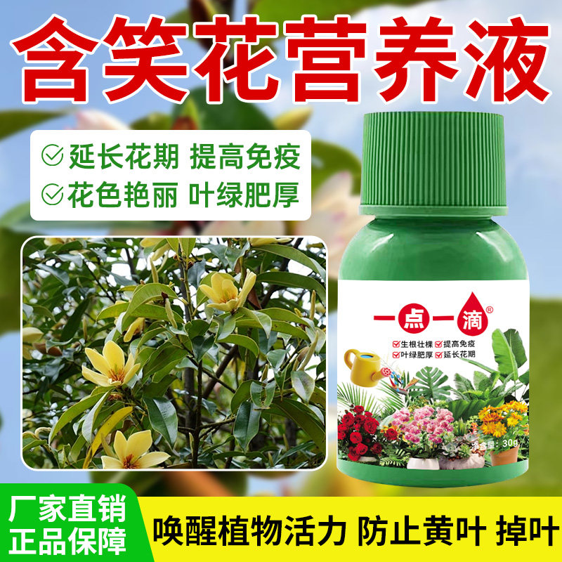 含笑花营养液花肥料植物通用盆栽水培花卉多肉液体有机叶面肥