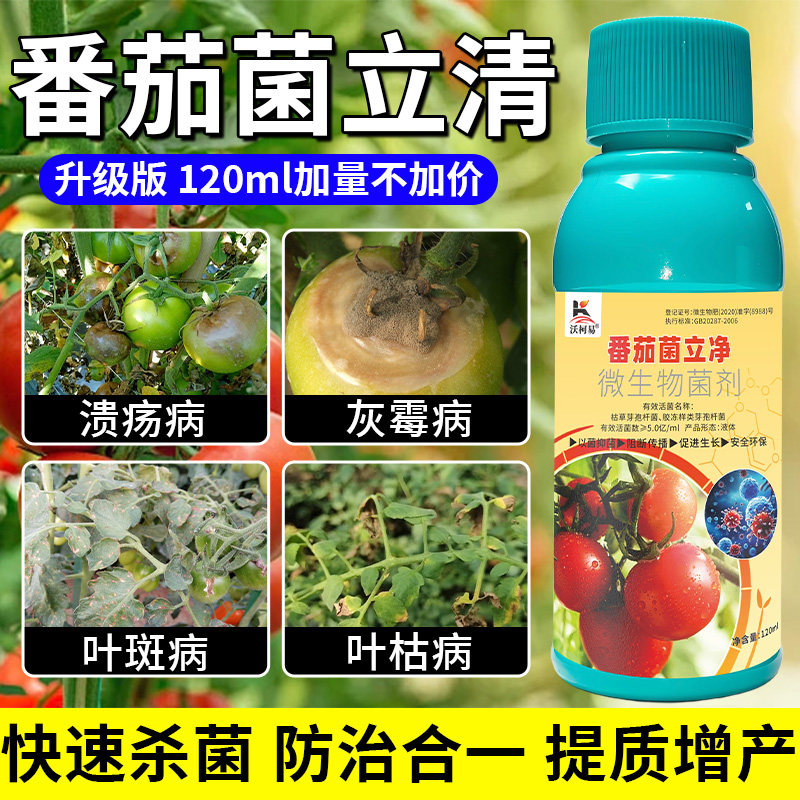 番茄菌立净番茄病害清溃疡灰霉叶斑枯萎炭疽白粉根腐专用杀菌剂
