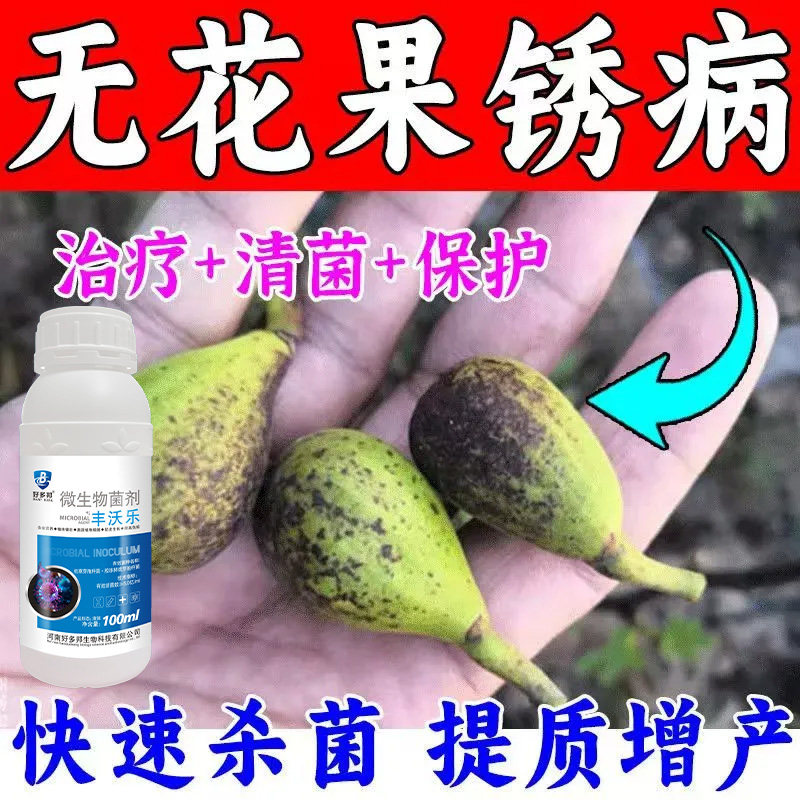 无花果病专用杀菌剂无花果治病杀菌剂白腐病炭疽病胴枯锈病杀菌剂