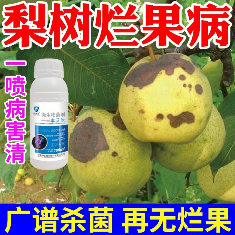 梨树专用药梨树病全治梨树专用杀菌剂梨树锈病黑斑病褐斑病软腐病