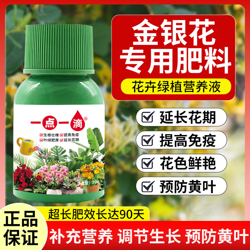 金银花专用营养液提高免疫防疾病防黄叶枯萎盆栽绿植室内外花肥