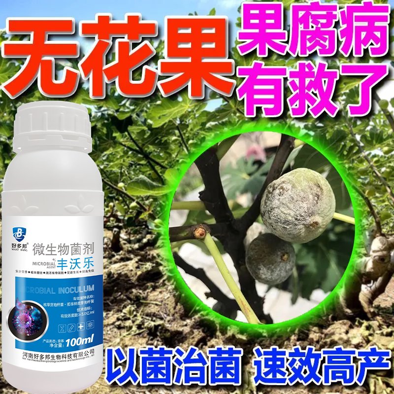 无花果专用药锈病黄叶烂根果腐病炭疽病枯枝病无花果病全治杀菌剂图片