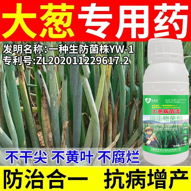 大葱病专用药国家专利技术配方大葱紫斑病软腐病黄叶干尖根腐黑斑