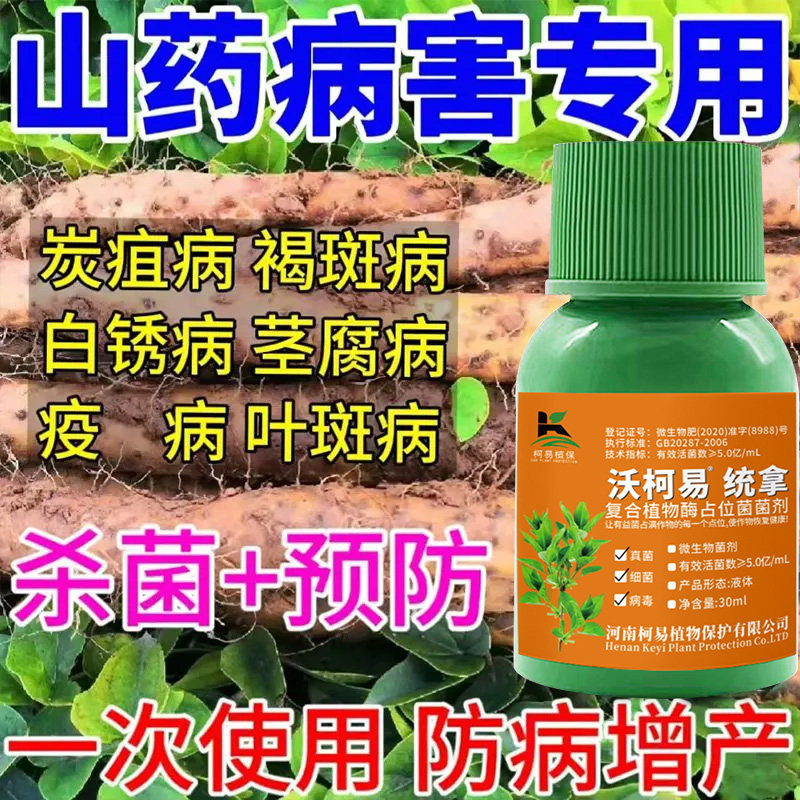 山药专用杀菌剂山药病专杀全治炭疽病褐斑病灰斑病白病锈茎腐病