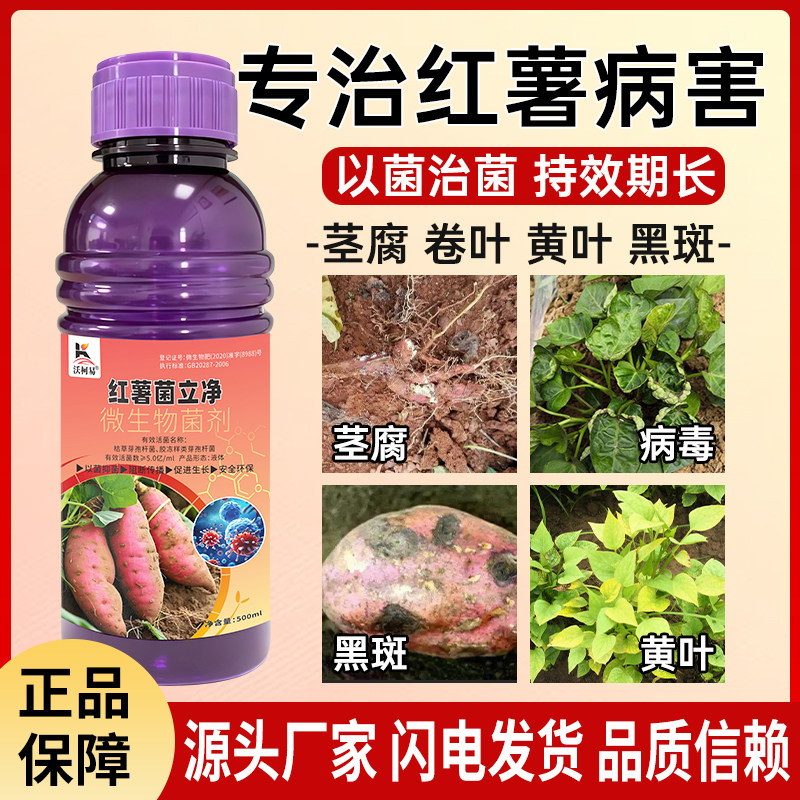 红薯杀菌剂红薯瘟病褐斑黄叶软腐卷叶糠心炭疽猝倒白粉病专用药剂