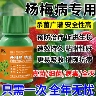 杨梅病全治杨梅专用除菌肥料根腐病凋萎病枯枝病褐斑病专用菌剂