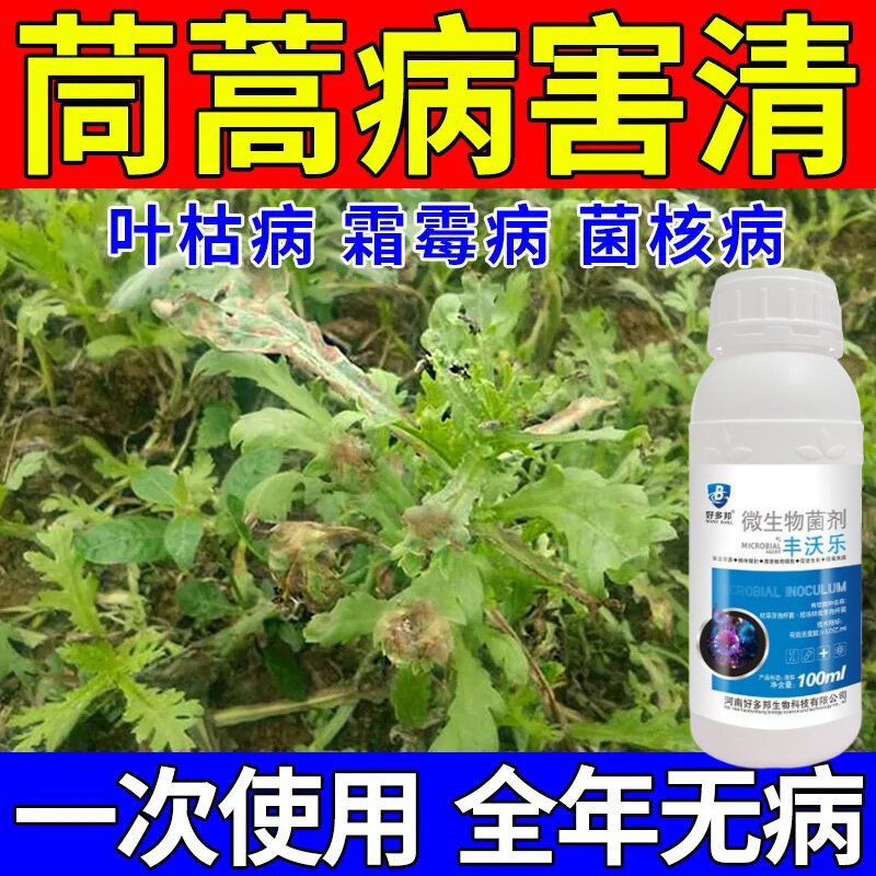 茼蒿病害专用药茼蒿叶枯病叶斑病菌核病根腐枯萎病专用杀菌剂正品
