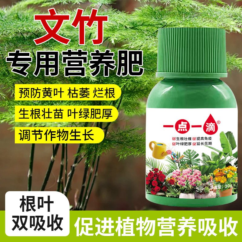 一点一滴文竹浓缩营养液室内花卉绿植盆栽专用有机花肥料液体肥料