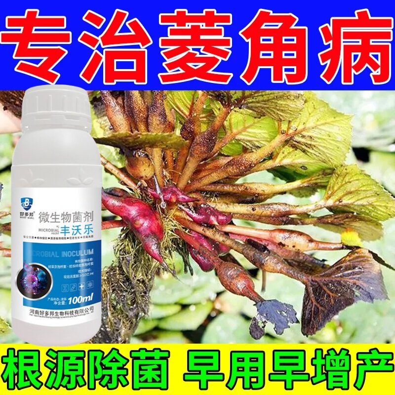 菱角专用药菱角病全治白绢病褐斑病纹枯病叶片枯萎腐烂杀菌肥料