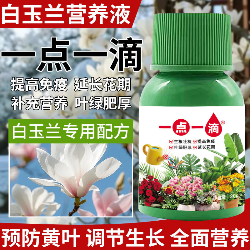 玉兰花营养液肥料专用肥治黄叶黄角兰树家庭阳台盆栽通用型液体肥