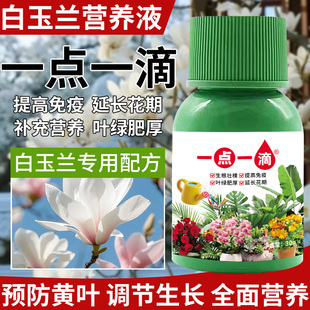玉兰花营养液肥料专用肥治黄叶黄角兰树家庭阳台盆栽通用型液体肥