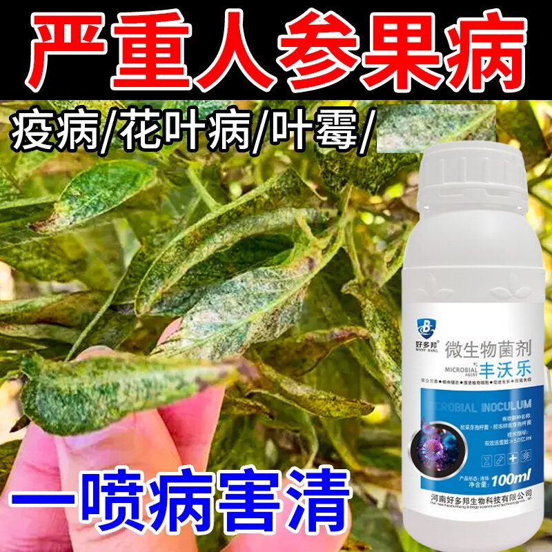 人参果卷叶病药人参果黄叶病叶霉病黑斑炭疽病疫病毒病晚疫病全管