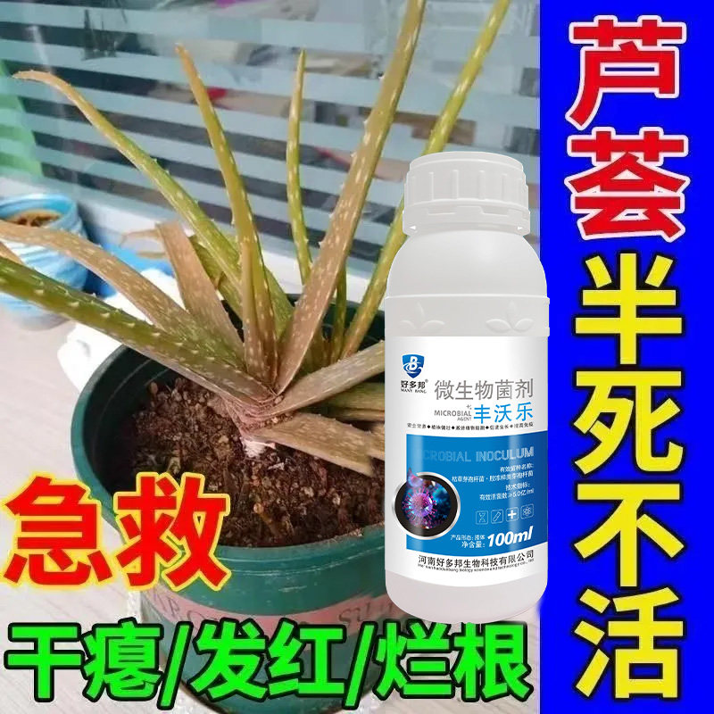芦荟营养液【急救干枯】防干枯黄叶烂根沤根空根增肥增厚芦荟肥料