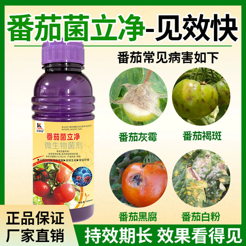 番茄专用杀菌剂番茄青枯病溃疡灰霉叶斑枯萎炭疽猝倒菌核白粉根腐