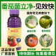 番茄专用杀菌剂番茄青枯病溃疡灰霉叶斑枯萎炭疽猝倒菌核白粉根腐