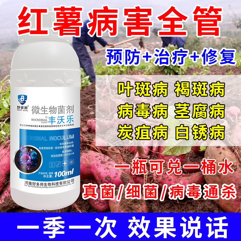 红薯茎腐病专用杀菌剂红薯病全治专用药茎腐病烂叶病烂根病腐烂病