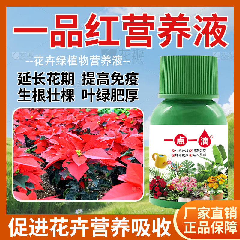 一品红营养液体肥黄叶枯萎一喷绿室内盆栽营养有机家用园艺肥料