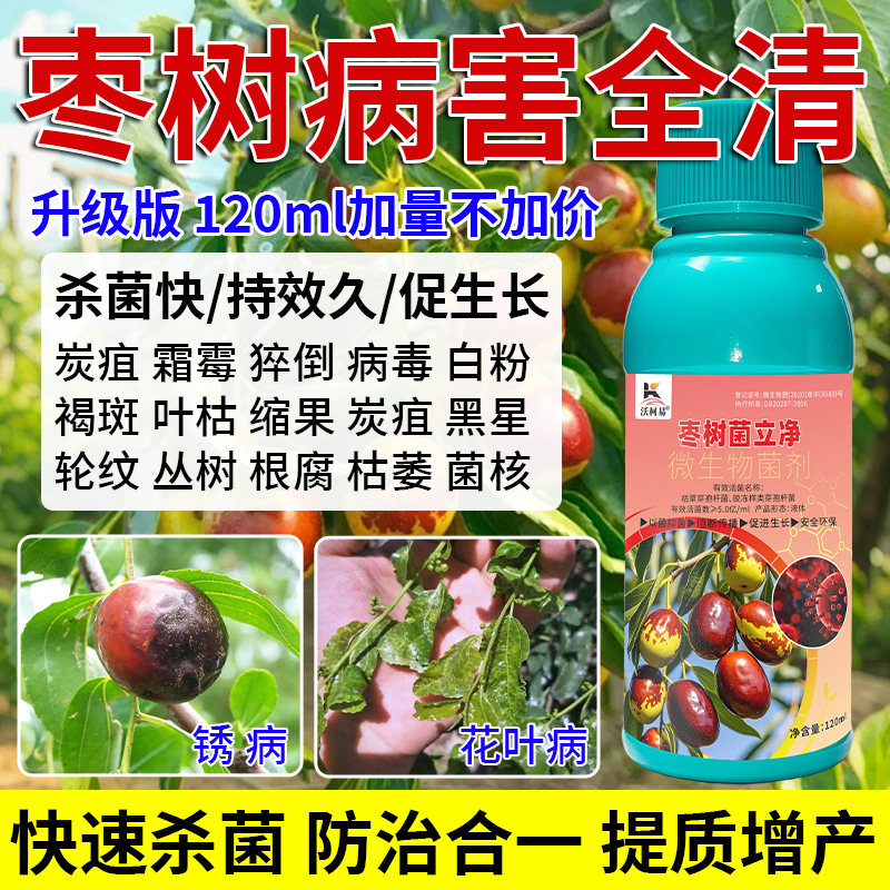 枣树菌立净枣树病害清霜霉炭疽猝倒褐斑叶枯缩果根腐菌核杀菌剂