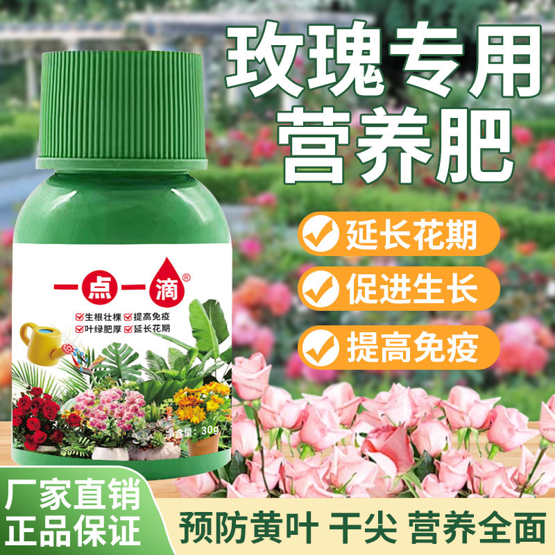月季花玫瑰花专用花肥延长花期生根壮苗防菌营养浓缩液体肥养花