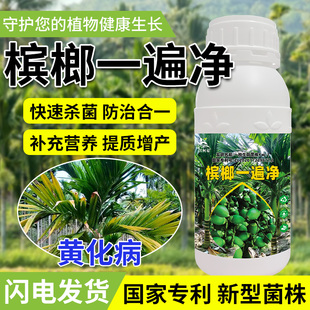 槟榔专利升级配方烂心病黄化病烂心肥细菌性条斑炭疽褐根芽腐果腐