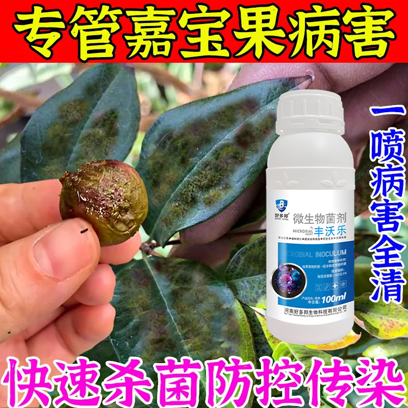 嘉宝果专用杀菌剂植物果树蔬菜花防治锈病炭疽病叶斑病霜霉病通用