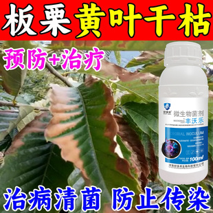 板栗病害黄叶病干枯病白粉病叶斑病果实霉烂病板栗树专用叶面肥