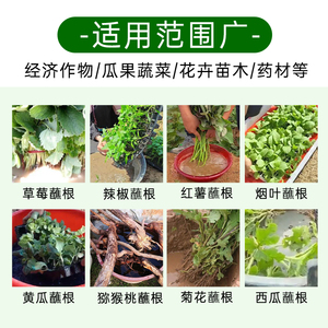 蘸根液定植水松木提取精华看得见提高成活率抗病驱虫提高抗性正品