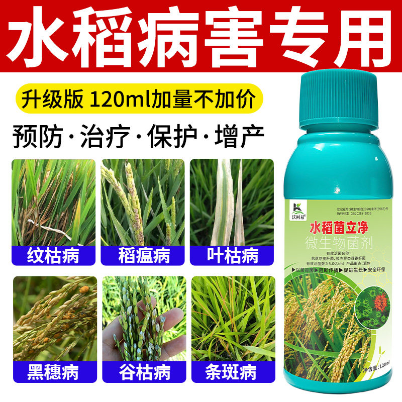 水稻菌立净水稻病害清纹枯稻瘟黑穗条斑稻曲白叶霜霉根腐杀菌剂