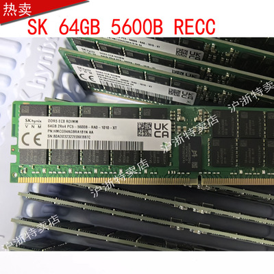 SK 海力士 64G 2RX4  DDR5 5600 RDIMM服务器内存HMCG94AGBQA179N