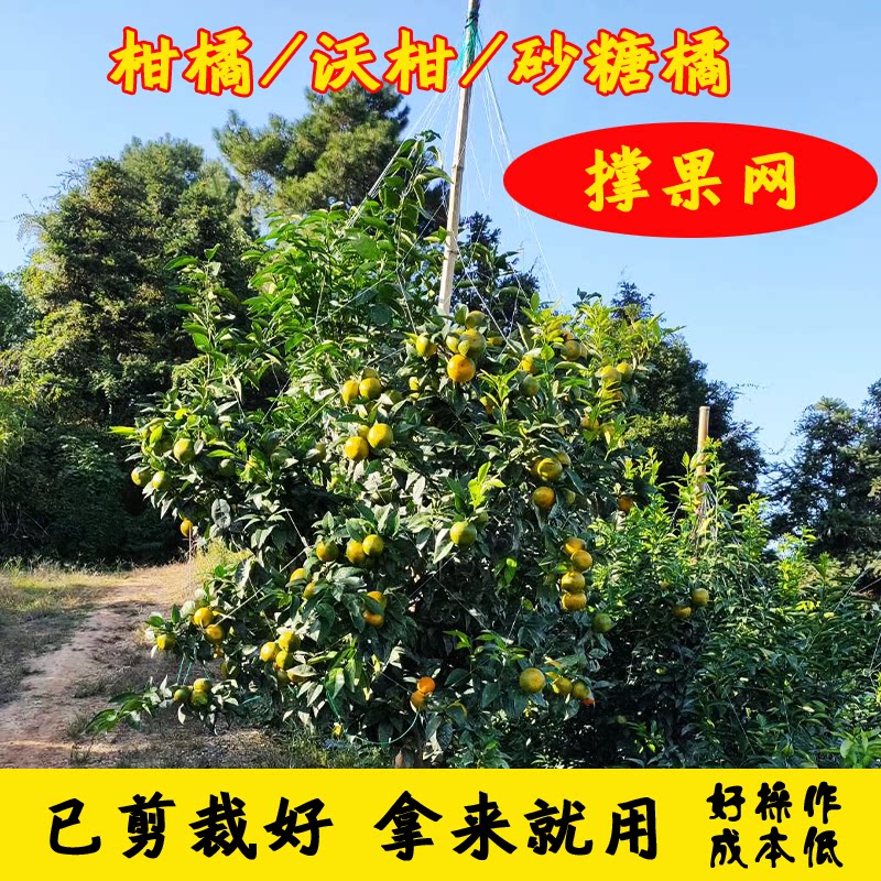 优质撑果网使用方便果树挂果农业