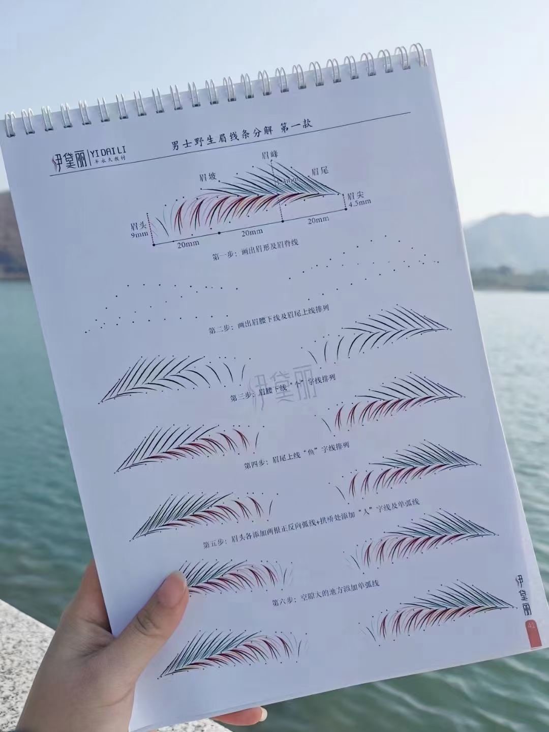 画眉毛素描本学化妆眉毛纹绣野生眉练习册初学眉型线条眉形化妆女