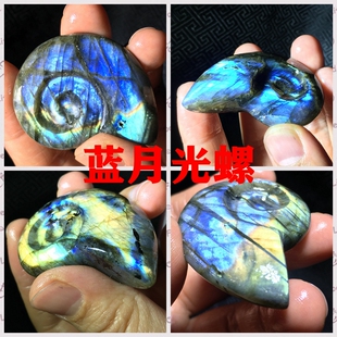 冰种月光石拉长石螺手把件双面彩纯天然蓝月光石彩光雕刻螺