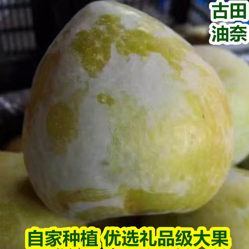 福建古田油奈桃形孕妇精选大果