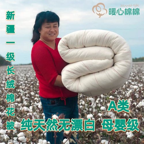 新疆手工纯棉花棉被全棉加厚冬被棉胎长绒棉絮被芯学生被双人盖被