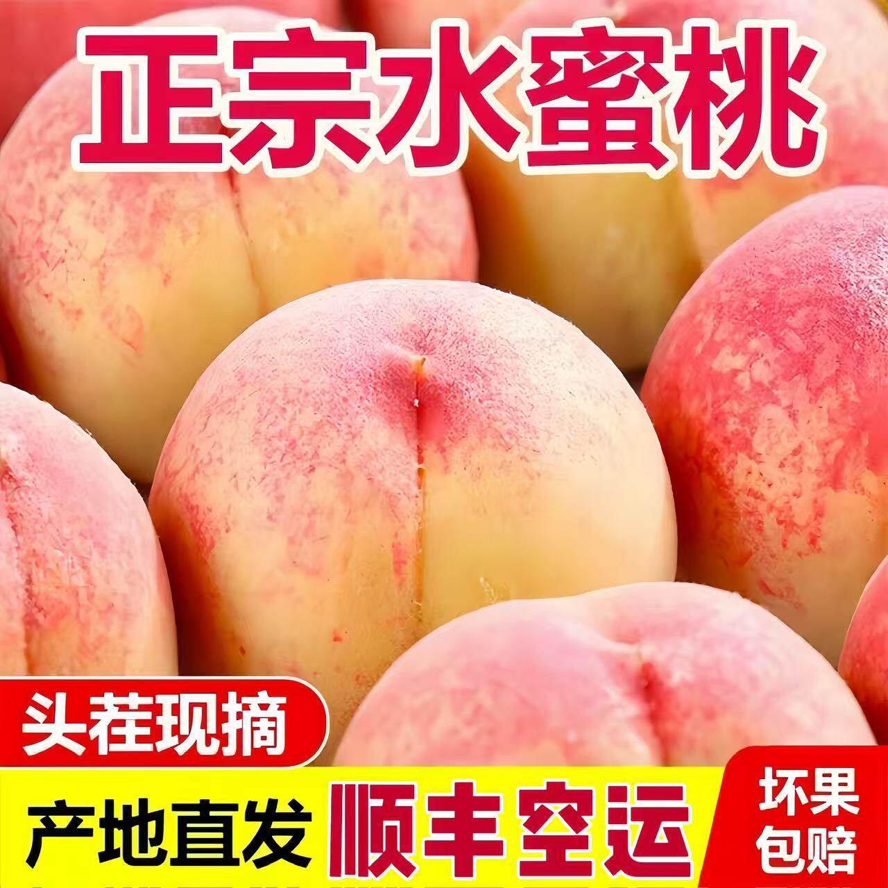 (顺丰空运)四川成都龙泉驿水蜜桃小白风晚湖景新鲜现摘龙泉山耙桃