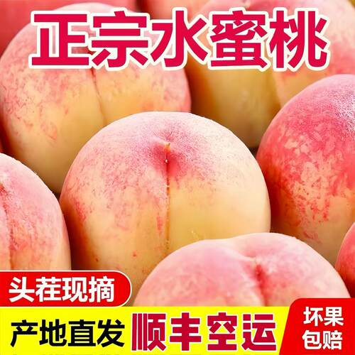(顺丰空运)四川成都龙泉驿水蜜桃小白风晚湖景新鲜现摘龙泉山耙桃
