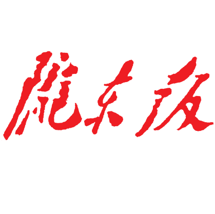 陇东报logo挂失减资注销公告登报订阅找旧【本商品为咨询费】
