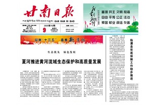 甘南日报挂失减资注销公告登报订阅找旧【本商品为咨询费】