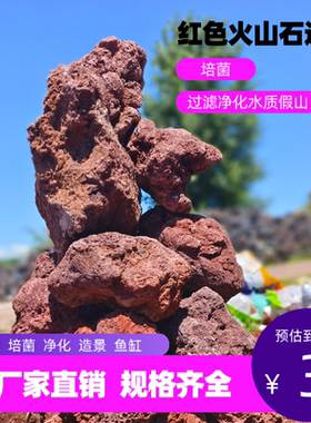 红色火山石造景水族过滤净化培菌鱼缸造景装饰精品现货大块火山岩