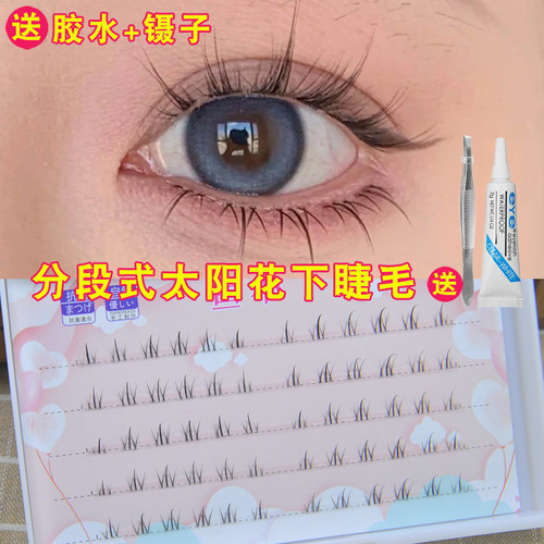 鱼小丫太阳花下睫毛单簇分段式
