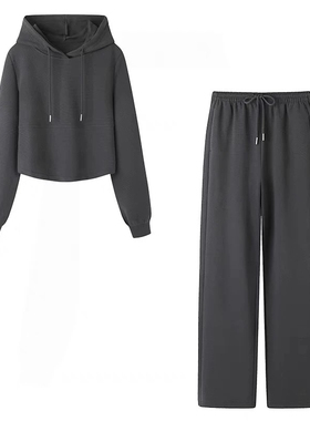 D234春季新款运动休闲连帽卫衣直筒卫裤两件套女D503