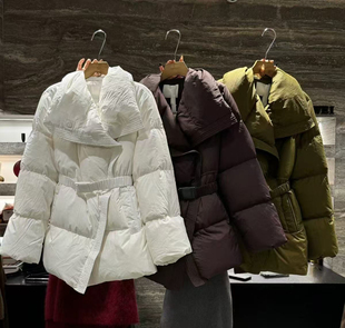 百搭减龄气质外套 新款 D254轻奢简约收腰显瘦韩版 大翻领羽绒服冬季