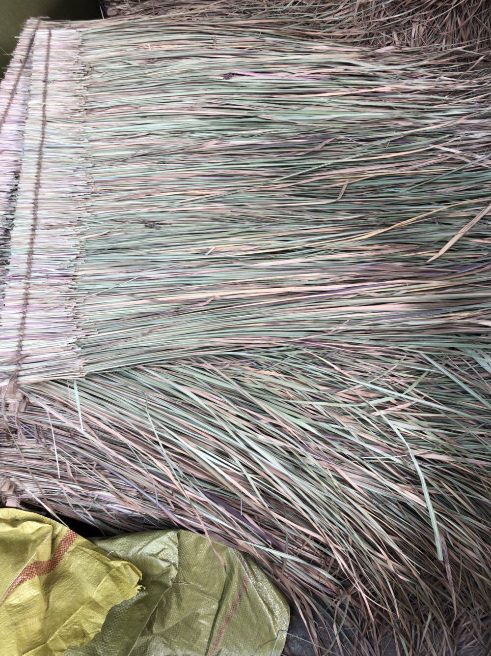 绿色茅草瓦野生茅草屋屋顶新草