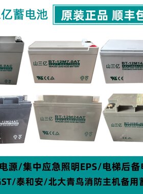 消防主机UPS电源直流屏电梯平层
