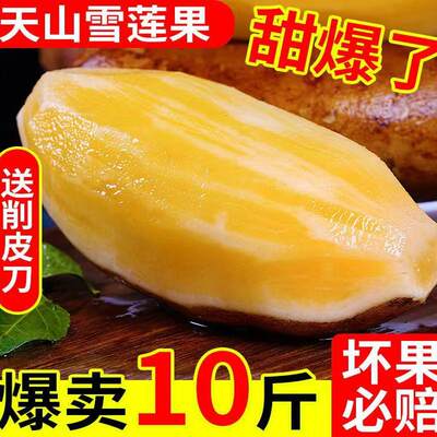 云南天山雪莲果新鲜10斤特级