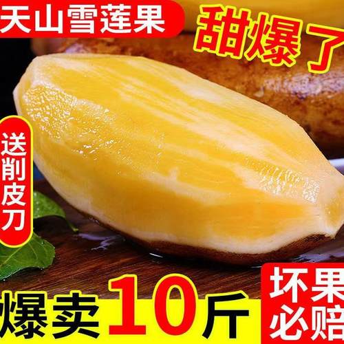 云南天山雪莲果新鲜应季水果